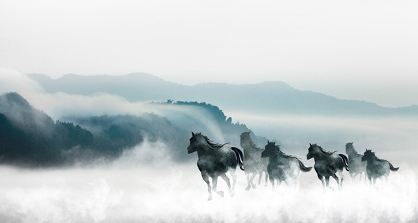 企業(yè)戰(zhàn)略規(guī)劃：為企業(yè)制定全面、長遠(yuǎn)的發(fā)展戰(zhàn)略