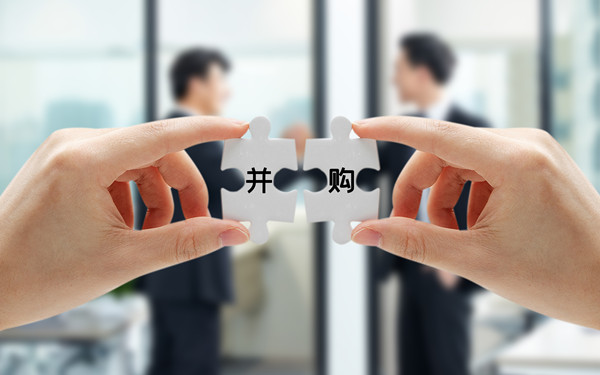戰(zhàn)略投資與并購(gòu)：拓展企業(yè)規(guī)模，增強(qiáng)市場(chǎng)競(jìng)爭(zhēng)力